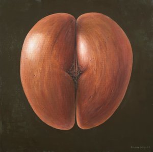 Coco de Mer，马尔代夫，2012年（丙烯画布）